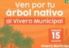 Invita Gobierno de Hermosillo a adoptar árboles nativos del Vivero Municipal