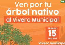 Invita Gobierno de Hermosillo a adoptar árboles nativos del Vivero Municipal