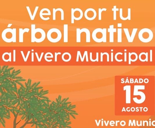 Invita Gobierno de Hermosillo a adoptar árboles nativos del Vivero Municipal