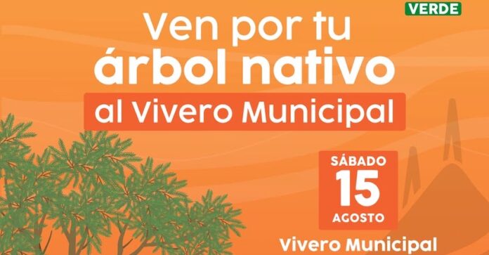 Invita Gobierno de Hermosillo a adoptar árboles nativos del Vivero Municipal; será este sábado 15 de agosto, de 9:00 a 12:00 horas y se entregará un árbol por persona, hasta agotar existencias.