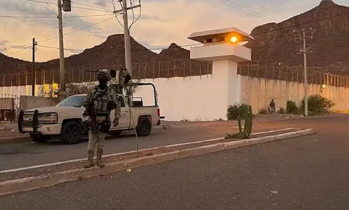 Reo fue asesinado en una riña con otro recluso; le aplastaron la cabeza; no fue por suspensión en una celda, como se había dicho en un principio; era de Nogales.