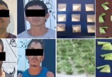 Varios detenidos en distintos municipios, en algunos casos con decomisos de droga