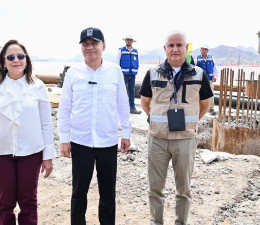 El puerto potencia su capacidad logística con llegada de grúas especializadas: Gobernador Durazo