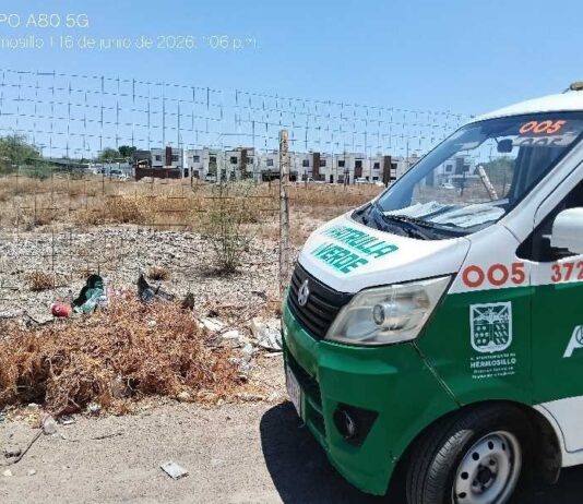 Refuerzan atención a lotes baldíos y basureros clandestinos