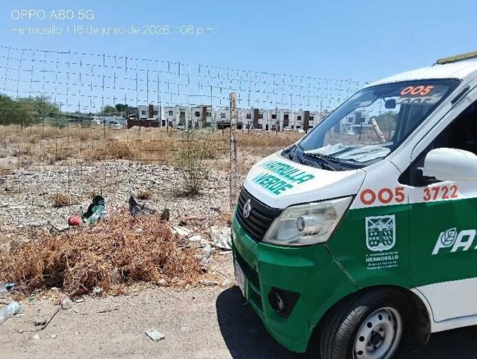 Refuerzan atención a lotes baldíos y basureros clandestinos; en los primeros siete meses del año se han concluido mil 232 reportes ciudadanos y aplicado 106 sanciones administrativas.