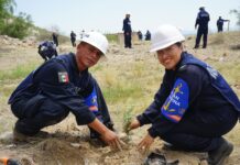 Segunda Región Naval se suma a Jornada Nacional de Reforestación 2026