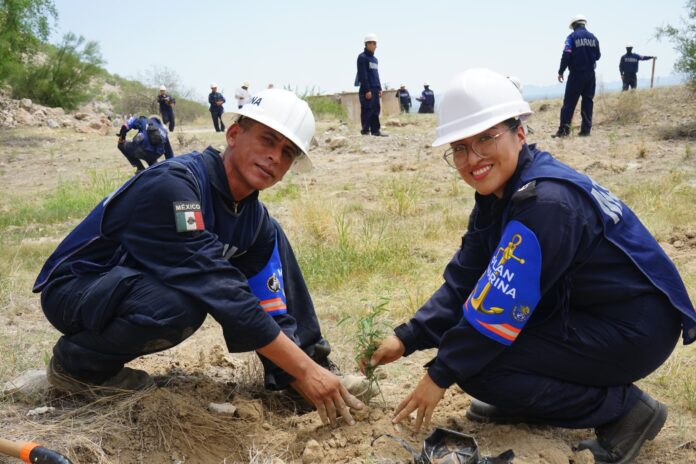 Segunda Región Naval se suma a Jornada Nacional de Reforestación 2026; en un esfuerzo conjunto para fortalecer la conservación del medio ambiente.