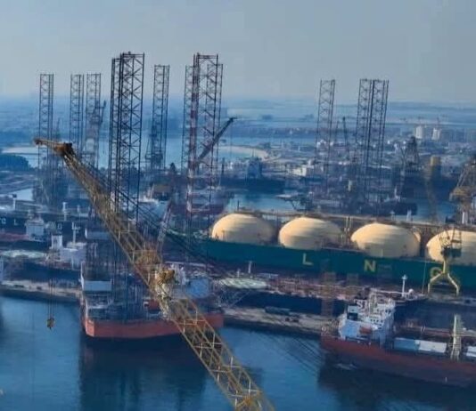 Suspendido indefinidamente proyecto de planta de licuefacción de gas en el puerto