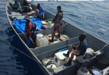Aseguran 4 toneladas de cocaína y un laboratorio clandestino