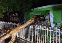 Ayuntamiento atiende afectaciones por fuertes vientos y lluvias