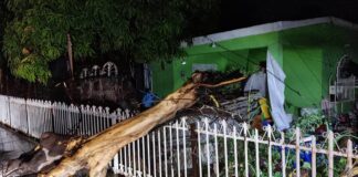 Ayuntamiento atiende afectaciones por fuertes vientos y lluvias