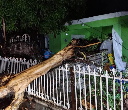 Ayuntamiento atiende afectaciones por fuertes vientos y lluvias