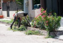 Retira Ayuntamiento alrededor de 90 toneladas de basura, maleza y cacharros en Loma Dorada