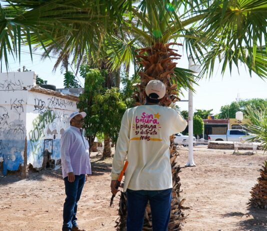 Realiza Ayuntamiento trabajos de limpieza en colonia Sahuaripa