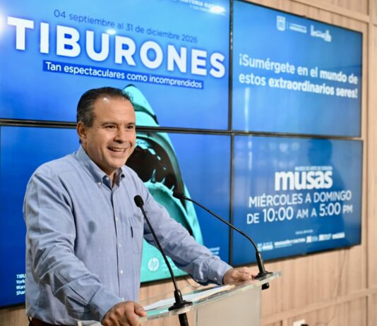 Anuncia Toño Astiazarán exposición internacional TIBURONES en Hermosillo para promover la conservación de la especie