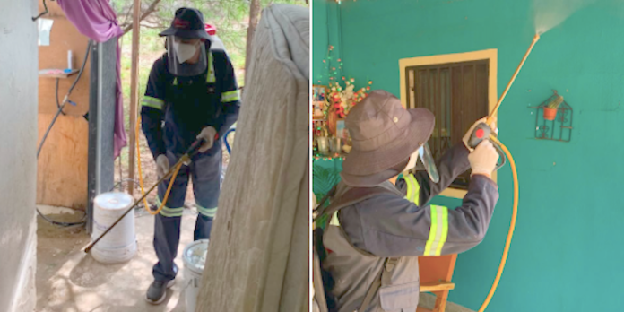 Destaca Salud Sonora acciones contra la rickettsia a través fumigación de viviendas y fomento de casa limpia.