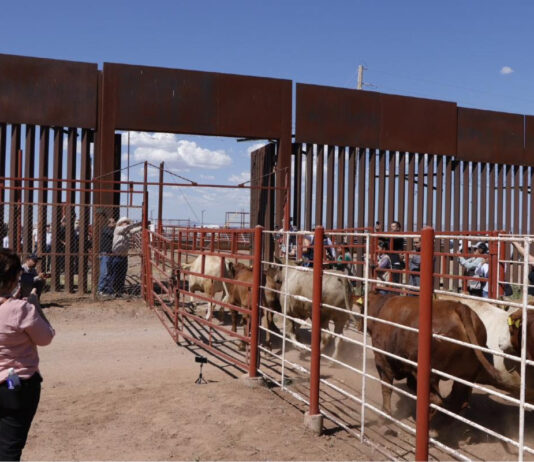 Durazo y Sheinbaum refuerzan acciones ante reapertura de la frontera