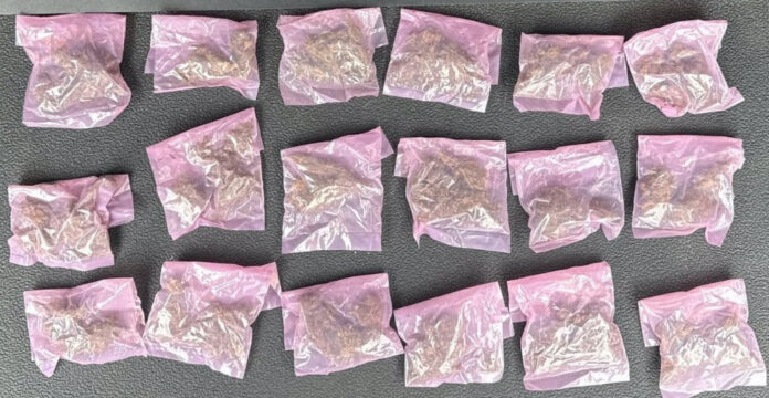 Joven de 20 años de edad detenido con droga; la Policía lo aseguró en la colonia los Jardines, con el apoyo de un binomio canino.
