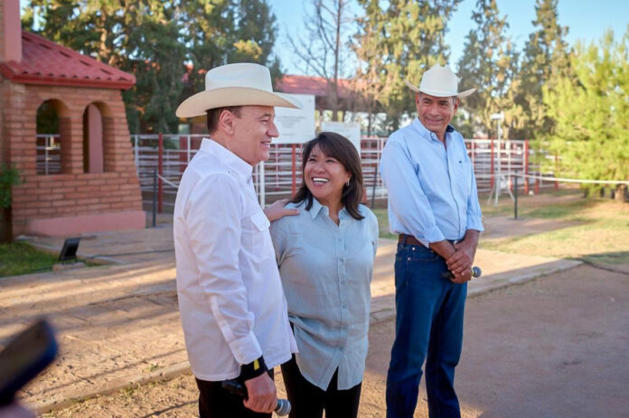 Reactivan Gobernador Durazo y Presidenta Sheinbaum exportación de ganado a EU; inicia cruce por Agua Prieta.