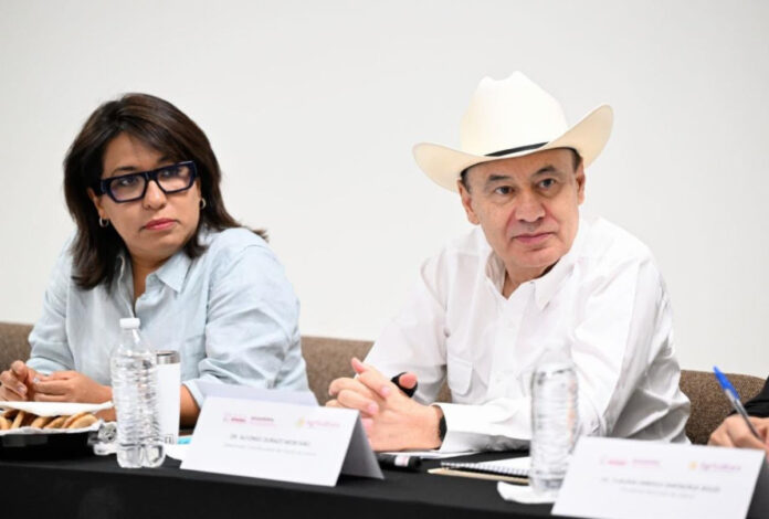 Gobernador Durazo encabeza alianza con productores para transformar y fortalecer el campo de Sonora; Gobierno federal y estatal suman esfuerzos para reducir costos, facilitar financiamiento, fortalecer la producción y dar mayor valor agregado al campo sonorense.