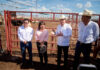 Sonora reactiva exportación de ganado a EU