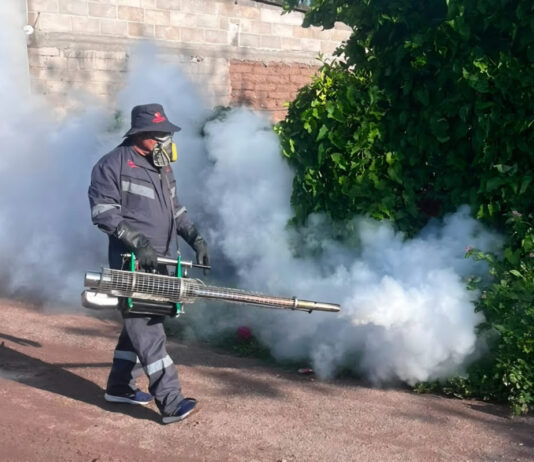 Refuerza Salud Sonora acciones contra el dengue con fumigación de 87 mil hectáreas