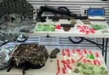 Asegura Mesa Estatal de Seguridad más de 7 millones de dosis de droga