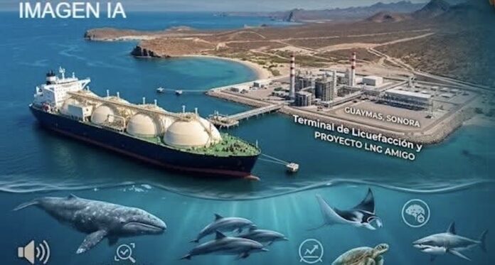 #Guaymas: Autoridades imponen medidas a Planta de Licuefacción para reducir impacto ambiental en el Golfo de California. IMAGEN IA