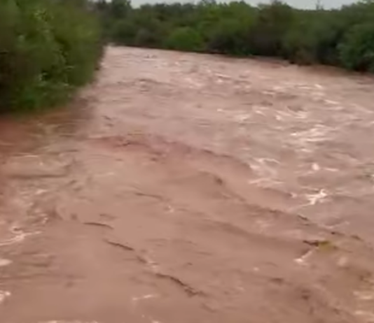 Lluvias dejan afectaciones menores en las últimas horas