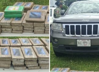 Detienen a 2 personas con 104 paquetes con cocaína