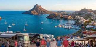 Esperan repunte movimiento de ‘Pájaros de la Nieve’ en Guaymas-San Carlos