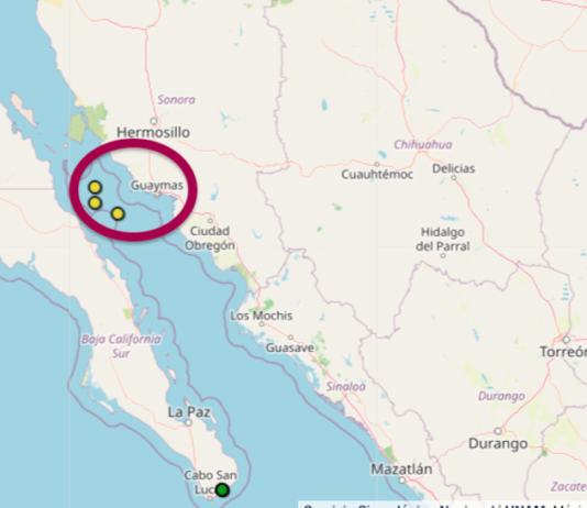 Tres temblores frente a las costas de Guaymas