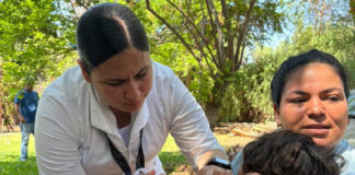 Reportan casi 12 mil dosis aplicadas contra el sarampión en 2026