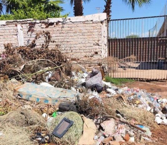 Llaman a no tirar basura afuera del estadio ALR