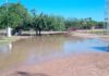 Suspenden temporalmente actividades en campos deportivos por condiciones derivadas de las lluvias
