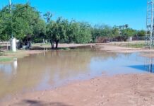 Suspenden temporalmente actividades en campos deportivos por condiciones derivadas de las lluvias