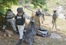 Localizan secadero de marihuana