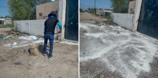 Atiende Ecología Municipal reporte de vecinos de Los Palmares