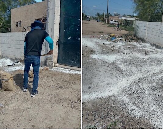 Atiende Ecología Municipal reporte de vecinos de Los Palmares