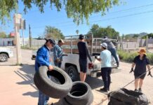 Retira Gobierno de Hermosillo 276 neumáticos en desuso con el Llantatón realizado en el Palo Verde