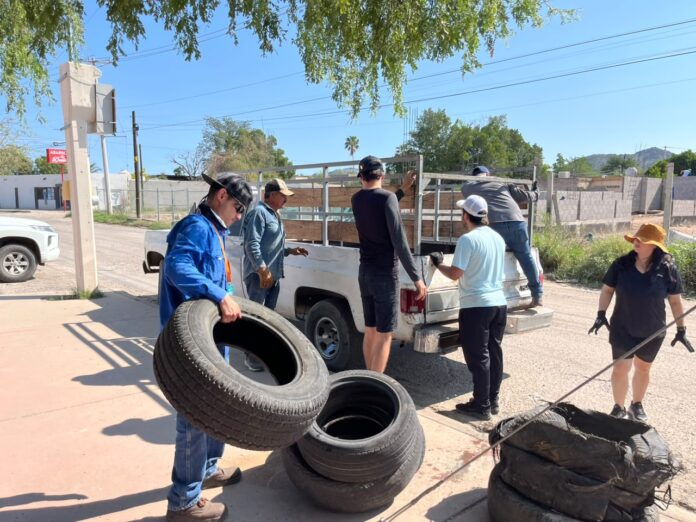 Retira Gobierno de Hermosillo 276 neumáticos en desuso con el Llantatón realizado en el Palo Verde; busca promover entornos más saludables y prevenir afectaciones ambientales.