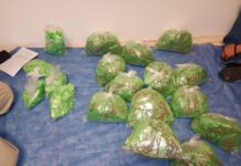 Caen dos en posesión de casi 4 mil 500 dosis de droga