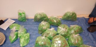 Caen dos en posesión de casi 4 mil 500 dosis de droga