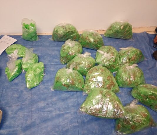 Caen dos en posesión de casi 4 mil 500 dosis de droga