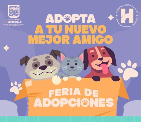 Invitan a la Feria de Adopciones el próximo domingo