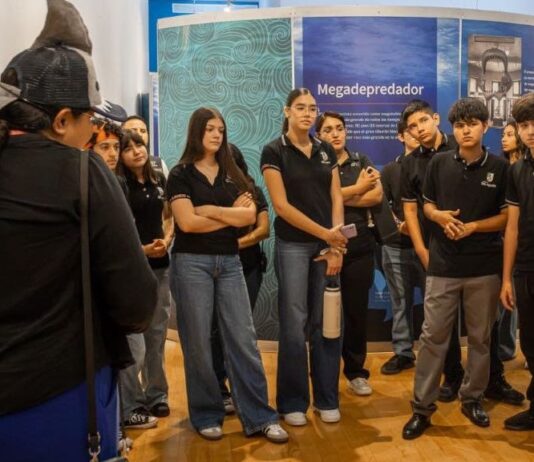 Supera exposición “TIBURONES” meta de 10 mil visitantes en sólo 19 días