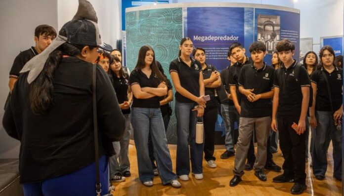 Supera exposición “TIBURONES” meta de 10 mil visitantes en sólo 19 días; la exhibición estará disponible hasta el 31 de diciembre del presente año.