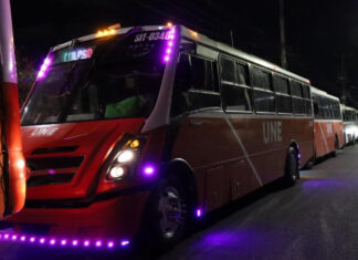 Habrá transporte público gratuito durante la noche del Grito