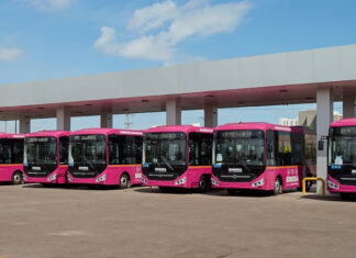 Gobernador Durazo transforma el transporte público: duplica la flota y alcanza 768 unidades en Sonora