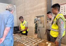 Detienen a turista brasileño con 35 mil dólares en efectivo